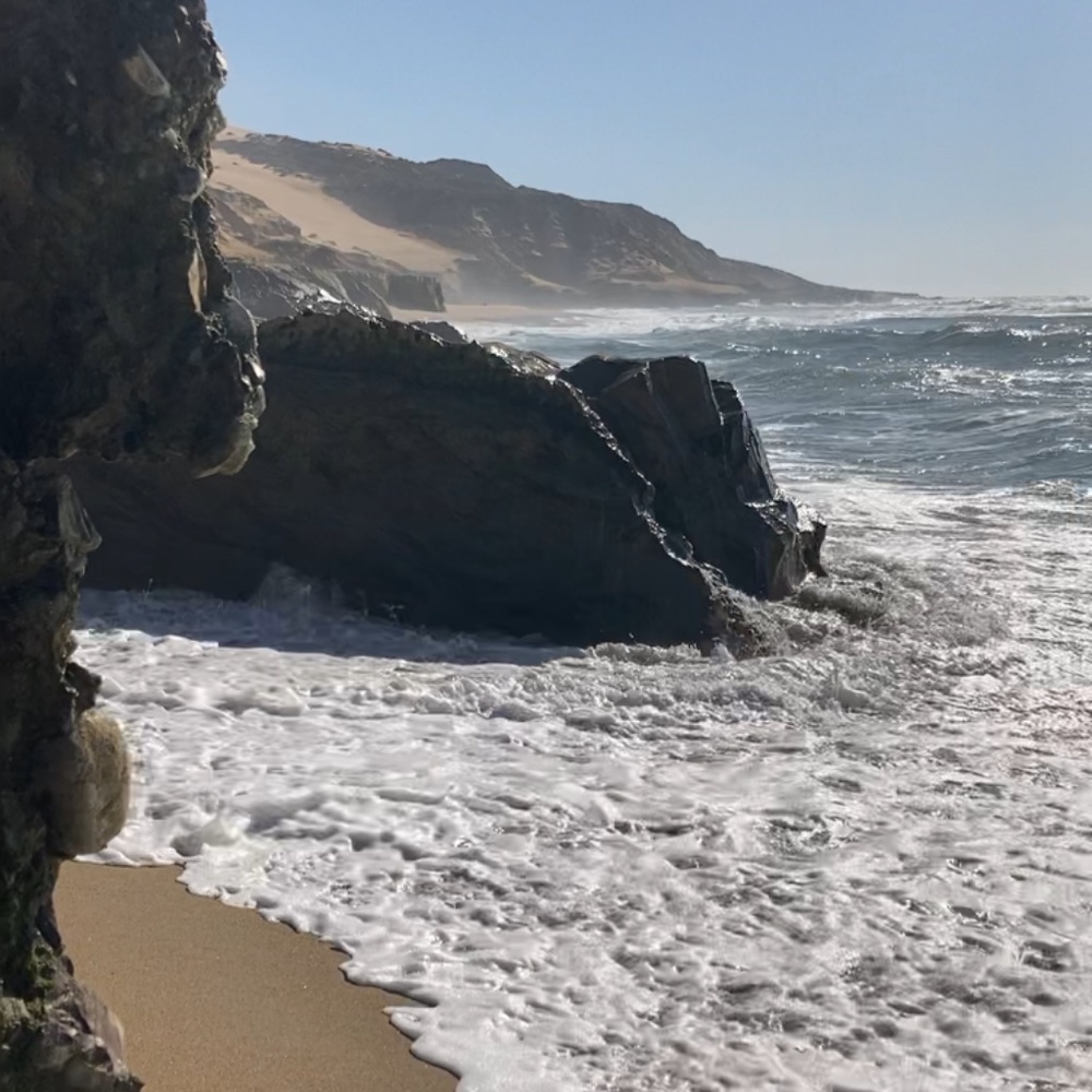 Meet your Posher, Bianca